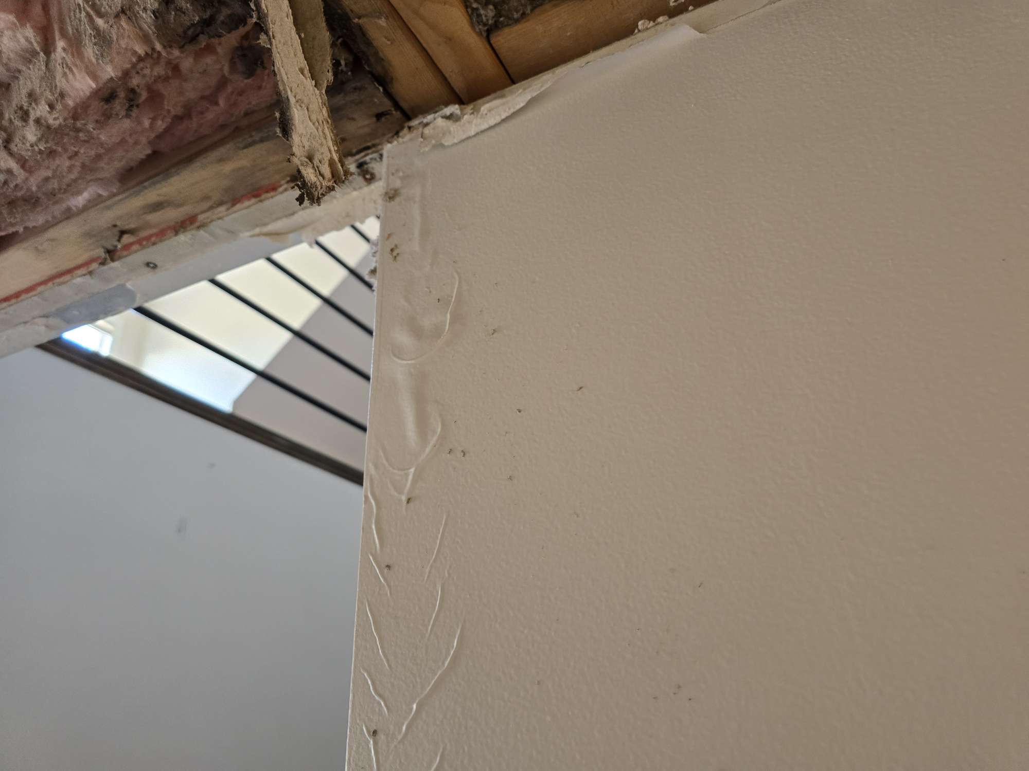 Technician using a moisture meter to find hidden water damage behind drywall